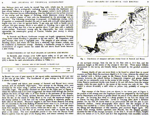 The peat swamps of Sarawak and Brunei