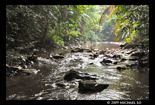 jungle2-Betong0809x.jpg