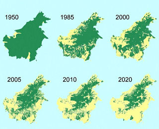 deforestation