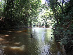 biotope