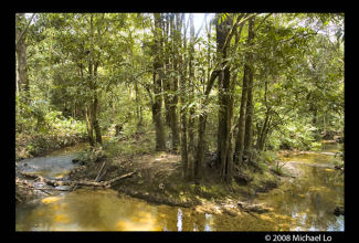 biotope