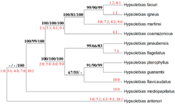 00-0-Copr_2016-Ricardo_Britzke-FIGURE-7-Maximum-likelihood-tree-based-on-mitochondrial-sequences-Cytochrome-b-andt.png