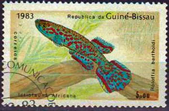 Roloffia-bertholdi-stamp-at.jpg