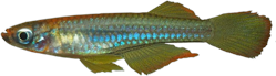 00-0-Copr_2025-John_Stelt.png